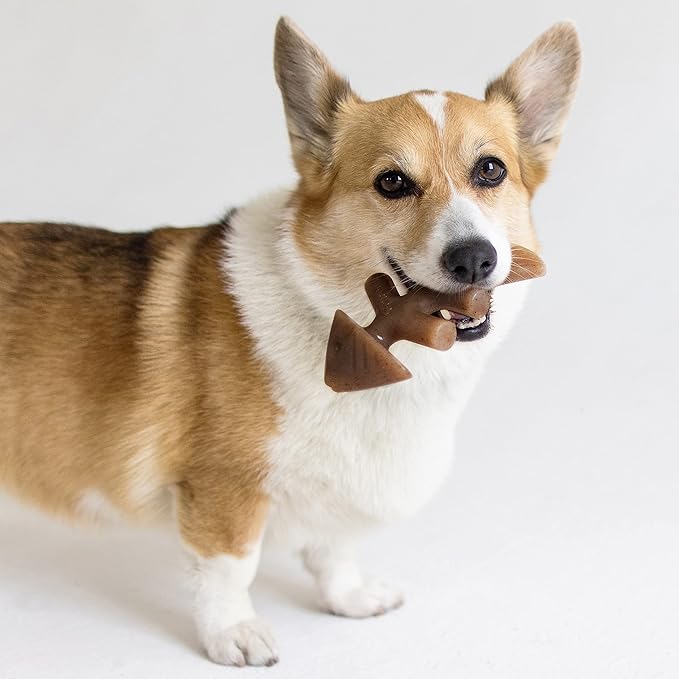 Benebone Fishbone and Maplestick Durable Dog Chews | Made in USA