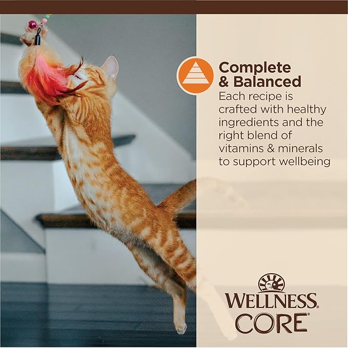 Wellness CORE Tiny Tasters Minced Adult Wet Cat Food, Natural, Protein Rich, Grain Free, Chicken Recipe, 1.75 oz, Pack of 12 Pouches