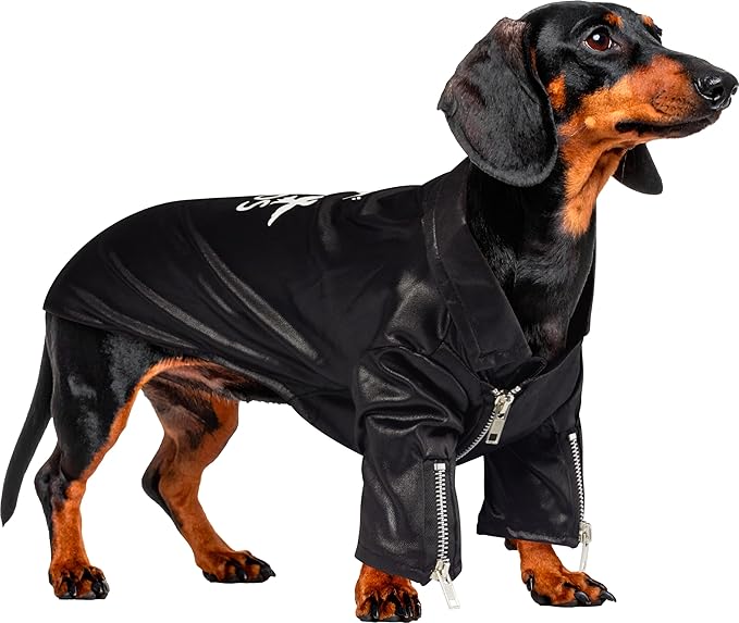 Grease: T-Birds Pet Costume for For Dogs or Cats by Rubies, Medium