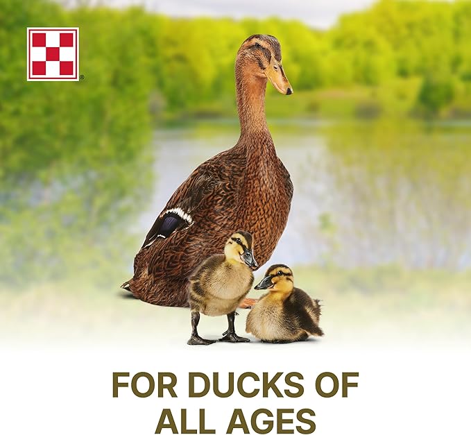 Purina | Nutritionally Complete Duck Feed for All Life-Stages | 4.5 Pound (4.5 LB) Bag