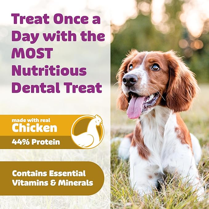 Yummy Combs Dog Dental Treats – Vet VOHC Approved – Delicious Chicken Protein – Removes Tartar with Cleaning Comb Shape – Dental Dog Treats for Large Dogs (36oz, 27 Count)