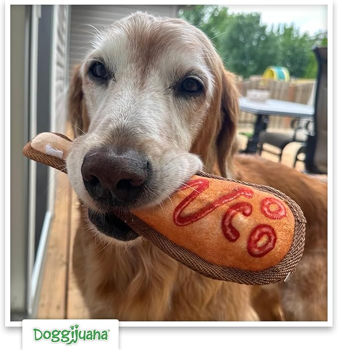 Doggijuana Mini Doggi Duo Refillable Juananip Toy Bundle | Corn Dog & Juananip | Funny Dog Toy Plush with Catnip and Refill | Interactive Chew for Play