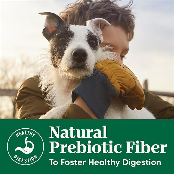 Nutro Natural Choice Senior Dog Food Dry Recipe, Chicken and Brown Rice Recipe, Dry Dog Food, 13 lb. Bag