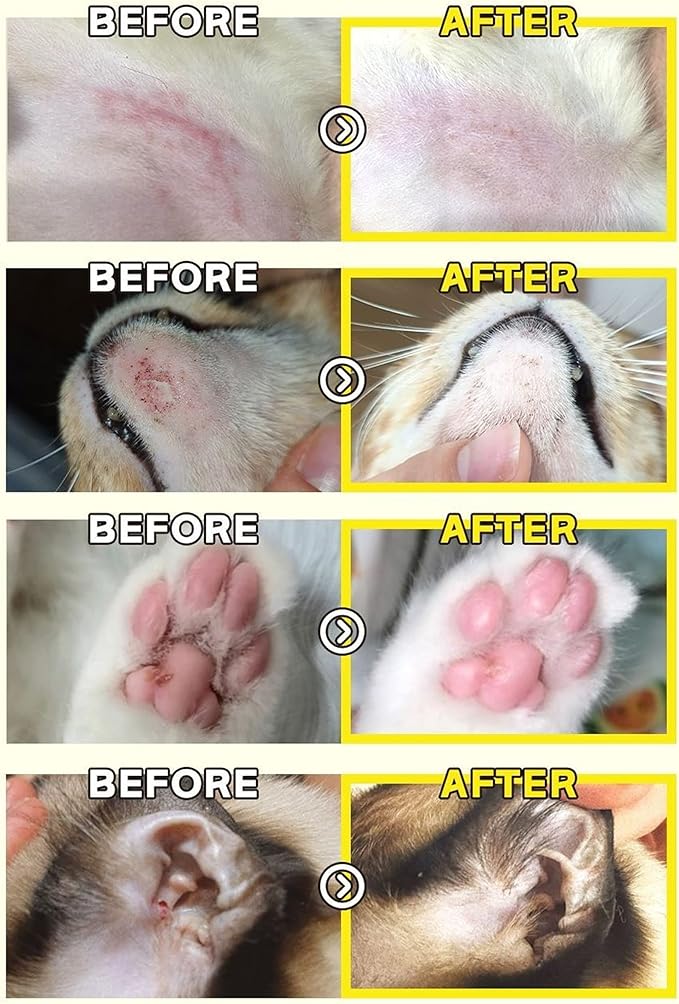 Yellow CENTELLA Salve – Hot Spot & Wound Care Ointment for Dogs, Cats & Small Animals – Lick-Safe, Fast-Acting, Steroid-Free, Natural Healing Balm for Cracked Paws & Skin Irritation, 1.16 oz