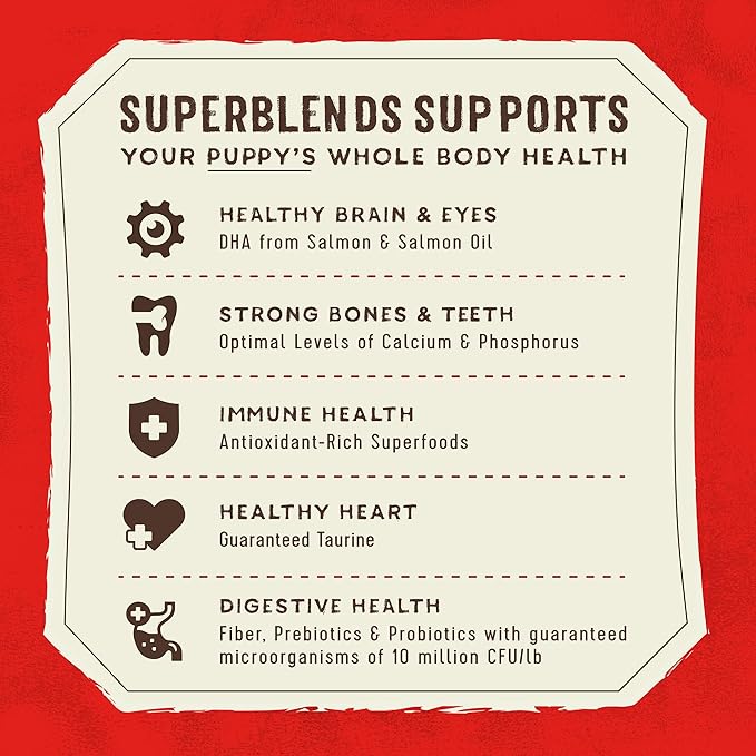 Stella & Chewy's SuperBlends Raw Coated Wholesome Grains Puppy Cage-Free Chicken & Wild-Caught Salmon Recipe with Superfoods, 21 lb. Bag