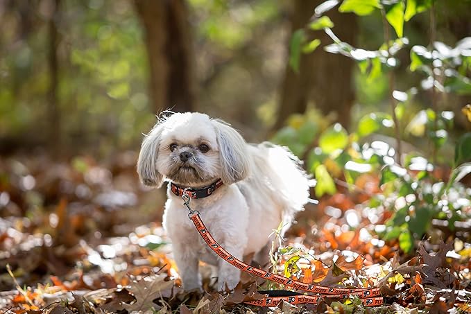 Pets First NHL Philadelphia Flyers Leash for Dogs & Cats, Medium. - Walk Cute & Stylish! The Ultimate Hockey Fan Leash!, Medium (4 ft Long x 0.62 in Width) (FLY-3031-MD)