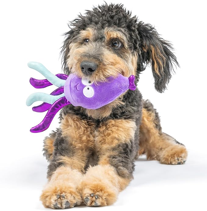 Huxley & Kent Slappies for Dogs | Squiggly Squid (Large) | Squeak & Shake Dog Toy | No Stuff Squeaky Toy, TPR Ball in Head | Simulates Hunting Nature for Dogs