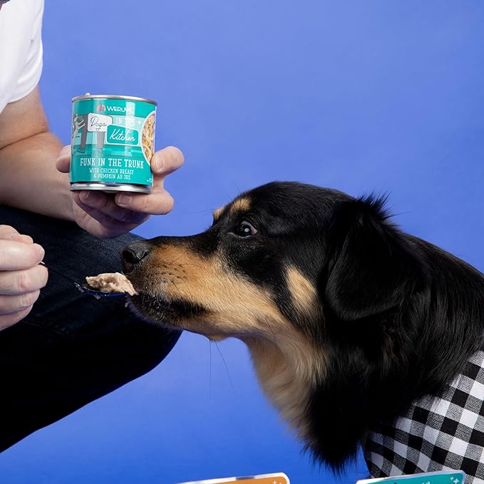 Weruva Dogs in the Kitchen, Funk in the Trunk with Chicken Breast & Pumpkin Au Jus Dog Food, 10oz Can (Pack of 12)