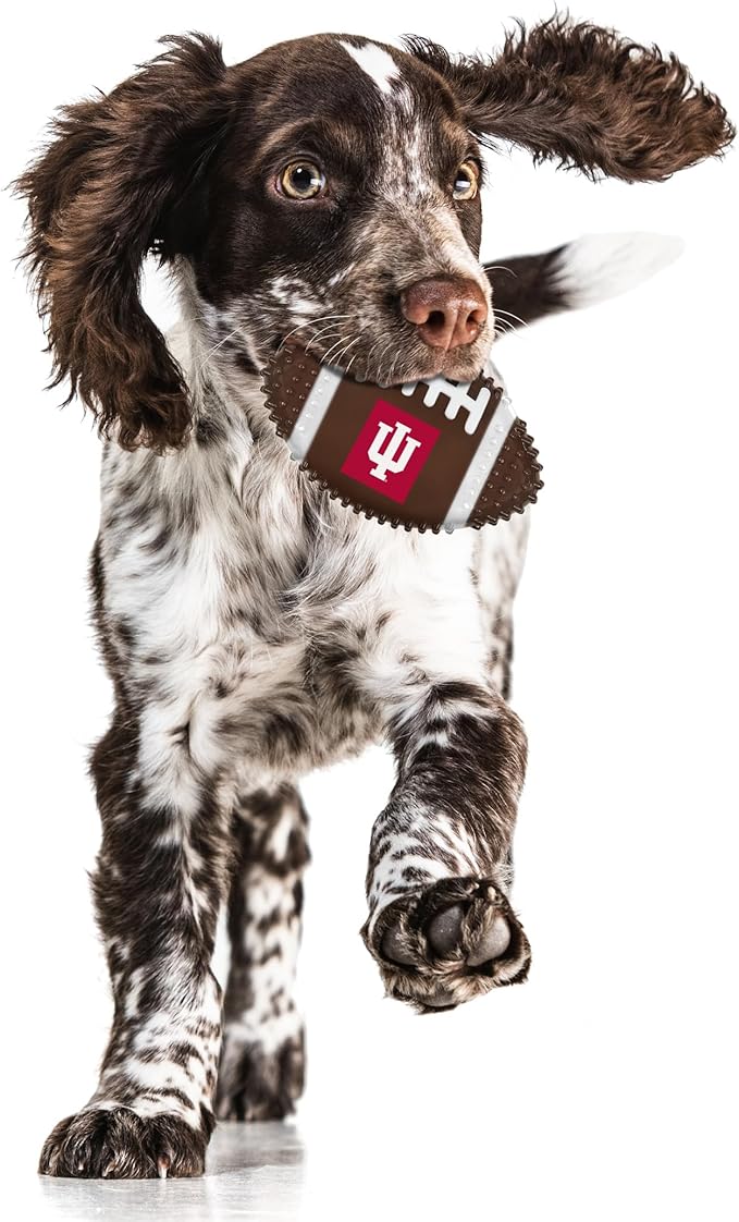 NCAA Indiana Hoosiers Mega-Chew Hard Nylon Bacon-Flavored Bone Football Chew Toy. Interactive Tasty & Fun Chew Toy. Indestructible Strong Durable Tough Dog Toys for Aggressive Chewers