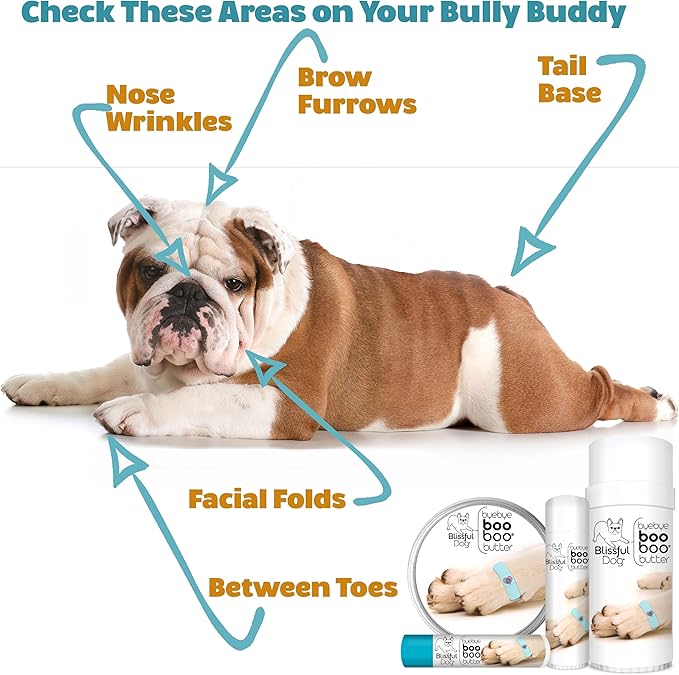 The Blissful Dog BB-COTON-16OZ Coton De Tulear Boo Butter, 16 oz.