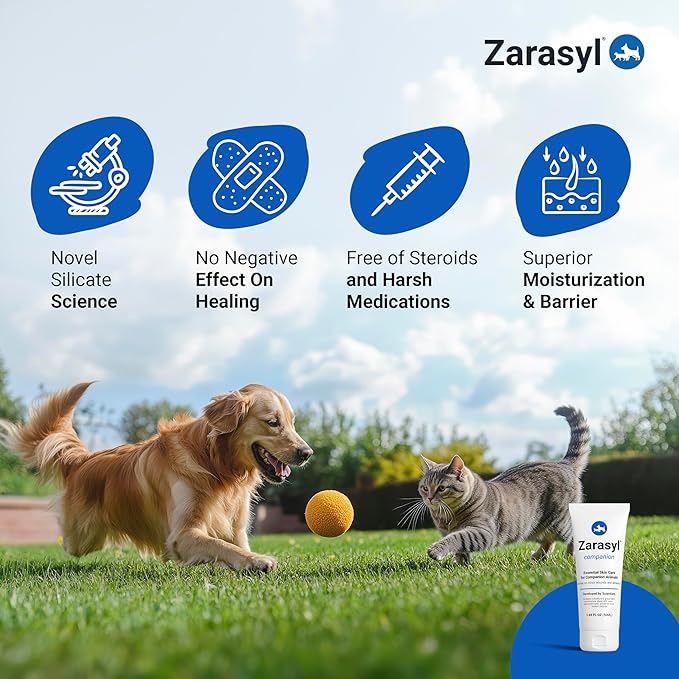Zarasyl Companion Essential Skin Care Ointment for Cats and Dogs, 1.69 oz. – Protects & Moisturizes Skin & Tissues for Optimal Wound Care – First Aid Salve Cream for Wounds