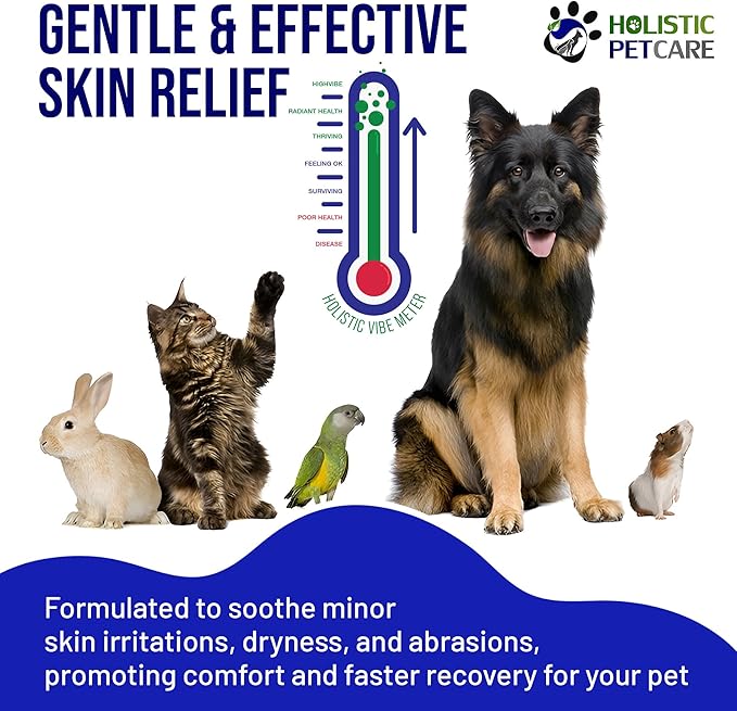 HOLISTIC PET CARE Colloidal Silver Gel – Natural Healing Gel for Pets, Non-Irritating Formula for Skin Irritations, Minor Abrasions, and Dryness, Soothing and Gentle, 8oz Bottle