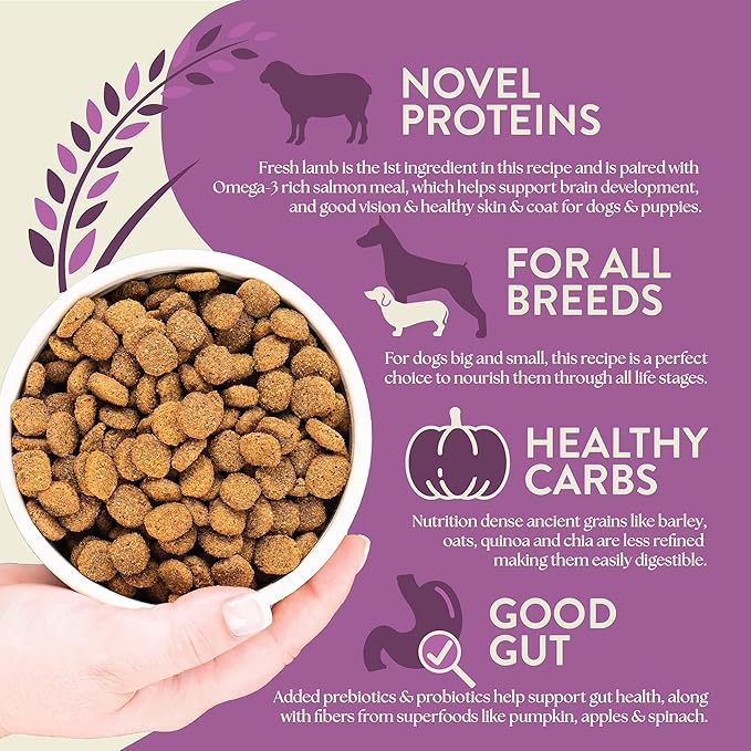 Earthborn Holistic Unrefined Roasted Lamb Dry Dog Food, Ancient Grains & Superfoods, Pea-Free Recipe, 25 lb Bag