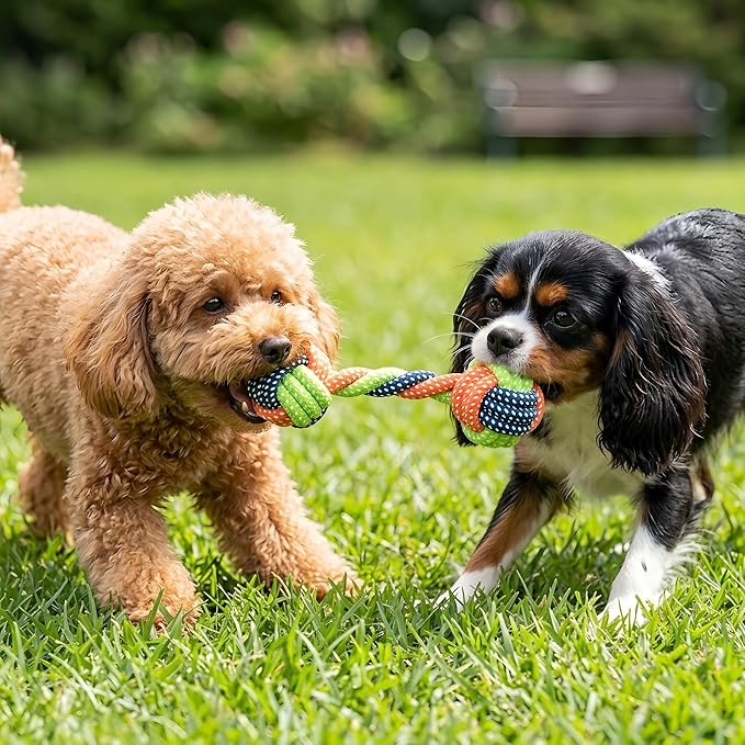Cotton Rope Dog/Cat Toy, Handmade Braided Dumbbell Style Crew Toy, Multicolor Chew Toy for Dogs/Cats, Tough Dental Knot (1-Piece Set)