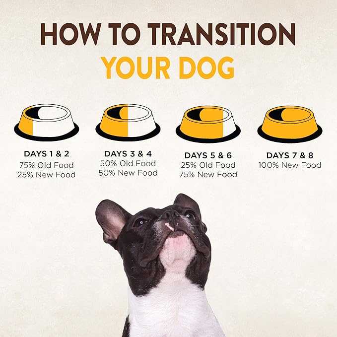 Wellness CORE Puppy Dry Dog Food, Grain Free Kibble, Natural, High Protein, Chicken and Turkey Recipe, 4 lb Bag