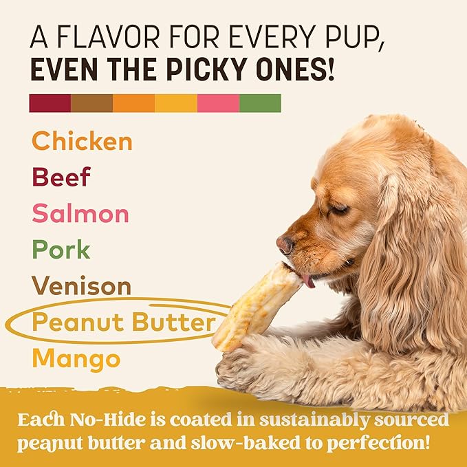 Earth Animal No Hide Chews - Long Lasting Rawhide Free Small Dog Chews Rolls, Peanut Butter - 2 Count