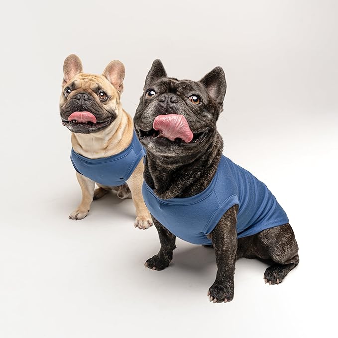 Daddy's Boy Father's Day Dog Tee Shirt | Sleeveless | Sizes for Puppies, Toys and Large Breeds (Royal Blue, 4X-Large 943)