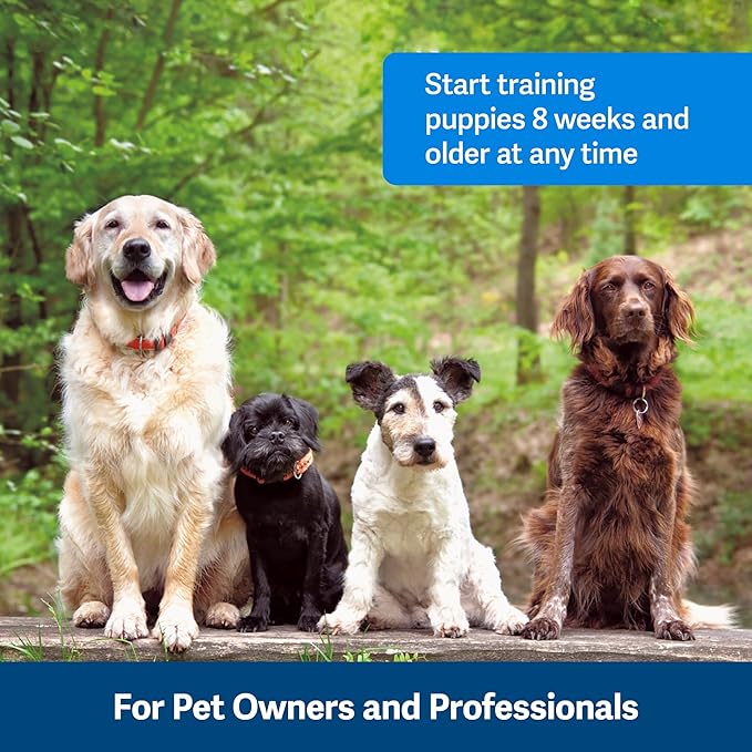 PetSafe Clik-R Dog Training Clicker - Positive Behavior Reinforcer for Pets - All Ages, Puppy and Adult Dogs - Use to Reward and Train - Training Guide Included - Purple