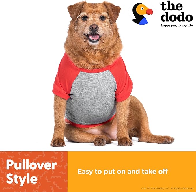 The Dodo #1 Dog T-Shirt for Dogs, Size Small; Black Dodo Print, Everyday Apparel for Dogs, Cute Dog Tee, Cute Clothes for Dogs, The Dodo for Dogs Collection