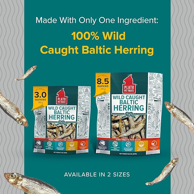 Plato Pet Treats Fish Dog Treats - Air-Dried, Single Ingredient Dog Treat - with Omega 3 & 6 Fatty Acids to Support Skin and Coat - 100% Whole Fish - Wild Caught Baltic Herring Dog Treats - 8.5 oz