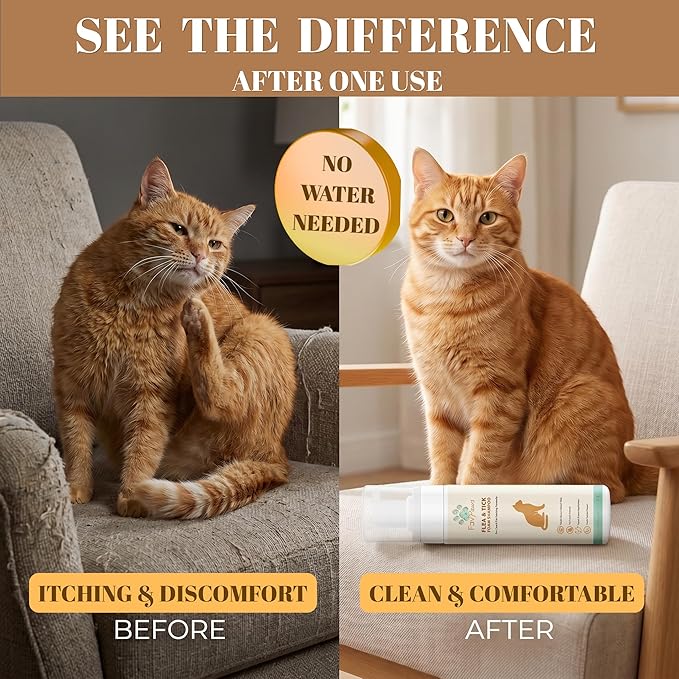 Flea & Tick Cat Waterless Foam Shampoo – No Rinse Grooming Formula – Gentle Care Coat Cleansing – Fresh Clean Scent – Dry Shampoo for Cats and Kittens -200 ml (6.7 fl oz)