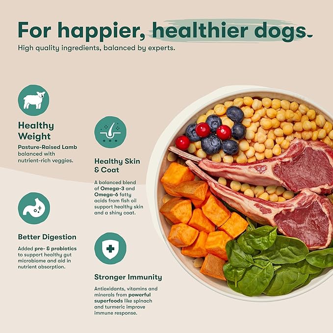 Jinx Premium Grain-Free Dry Dog Food, for All Lifestages - Grass-Fed Lamb, Sweet Potato & Carrot Dog Food with Superfoods for Immune Support & Probiotics for Digestive Support - No Fillers - 23.5lb