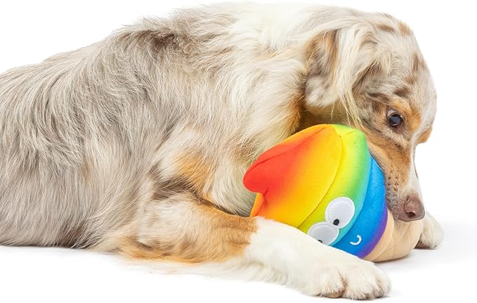 Huxley & Kent for Dogs | Fro-Yo Pride Cone (Large) | Funny Dog Toy | Power Plush Dog Toy with Squeaker | Dog Gift | Fun, Durable | H&K Squeaky Dog Toy