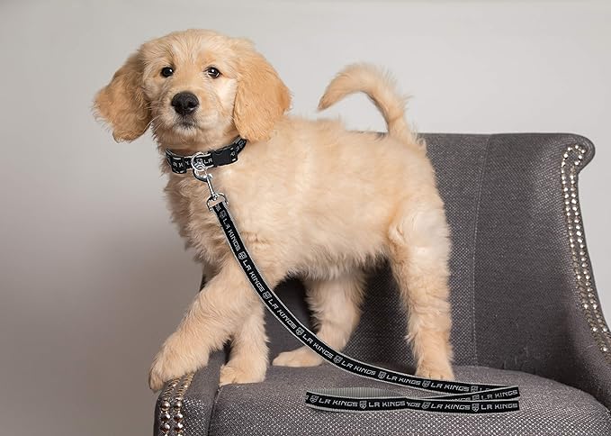 Pets First NHL Los Angeles Kings Leash for Dogs & Cats, Medium. - Walk Cute & Stylish! The Ultimate Hockey Fan Leash!, Medium (4 ft Long x 0.62 in Width) (KNG-3031-MD)
