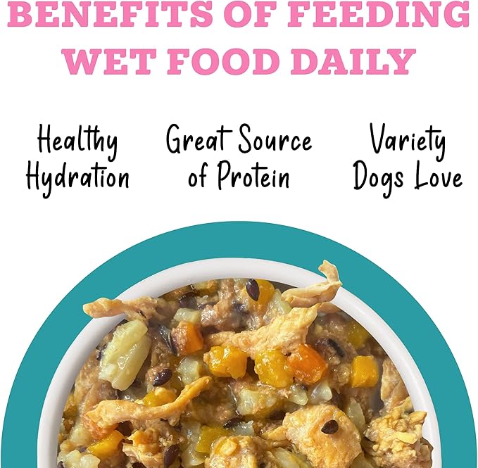Weruva Awesome Belly Wet Dog Food, Chicken, White Rice & Pumpkin with Papaya, 6oz Can (Pack of 8)