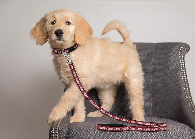 Pets First NHL Arizona Coyotes Leash for Dogs & Cats, Medium. - Walk Cute & Stylish! The Ultimate Hockey Fan Leash!, 4 ft Long x 0.62 in Width, COY-3031-MD