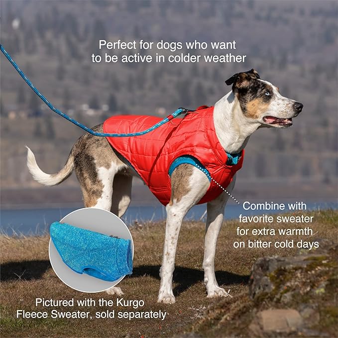 Kurgo Loft Dog Jacket - Reversible Cozy Coat for Outdoor Adventures - Water Resistant - Athletic Fit - Machine Washable Fabric - Reflective Dog Gear - X-Large - Pressed Leaf