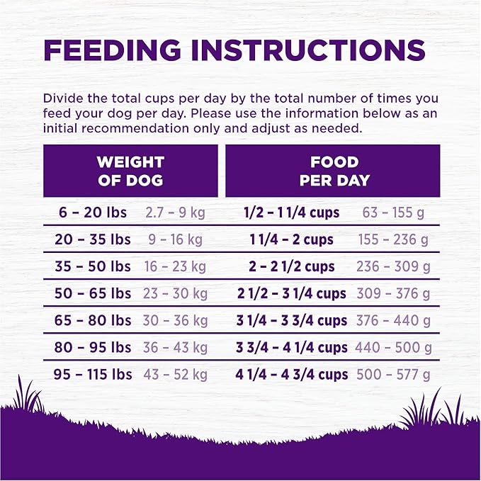 Wellness Complete Health Adult Dry Dog Food, Grain Free Kibble, Natural, Lamb Recipe, 24 lb Bag