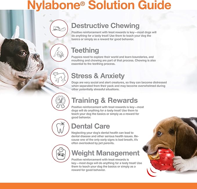 Nylabone Essentials Brown Nylon Braided Chew Dog Toy Large 1 pk