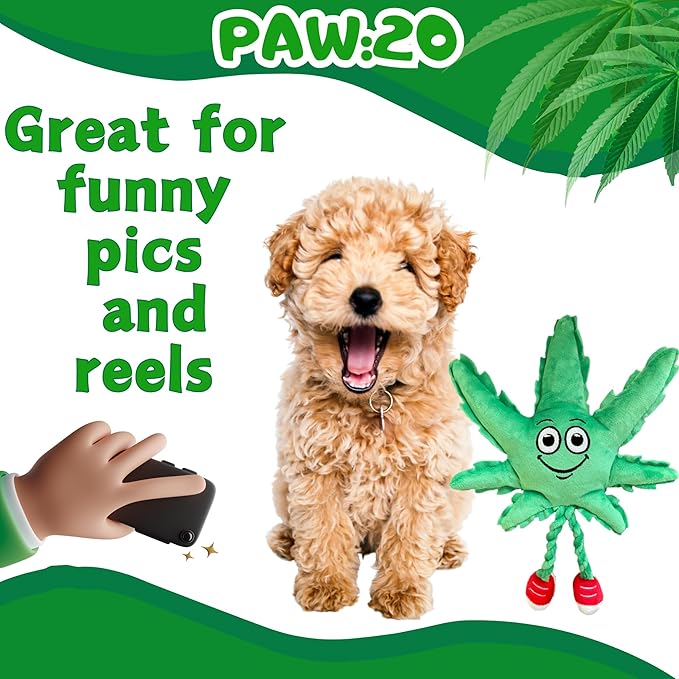 My Name is MJ, Cute Stuffed Parody Marijuana Leaf Dog Toy, Funny Squeaky Weed Toy, Cool Plush Novelty 420 Gift for Puppies & Small, Medium & Large Breeds, for Fetch & a Photo Prop, Shelf-Sitter