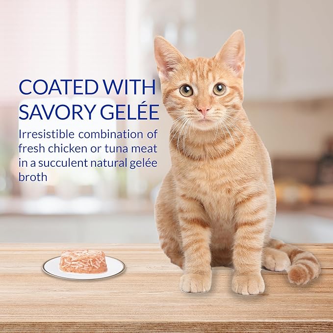 INABA Twins for Cats, Grain-Free Shredded Chicken & Broth Gelée Side Dish/Complement/Topper Cups, 29.52 Ounces Total, Tuna & Chicken with Scallop Recipe, 1.23 Ounces (Pack of 24)