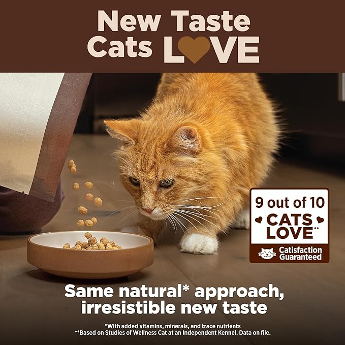 Wellness CORE+ Adult Dry Cat Food, Natural, Wholesome Grains Kibble, Digestive Health Chicken and Rice Recipe, 11 lb Bag