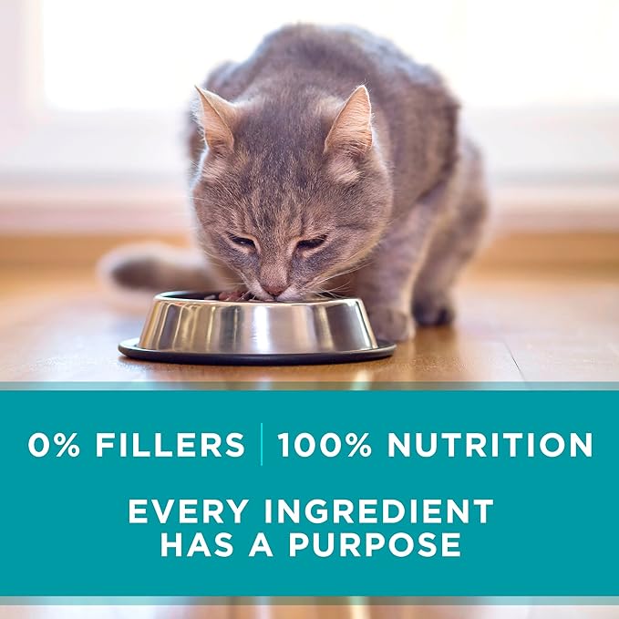 Purina ONE Natural, High Protein, Grain Free Wet Cat Food Pate, Ocean Whitefish Recipe - (Pack of 48) 3 oz. Pull-Top Cans