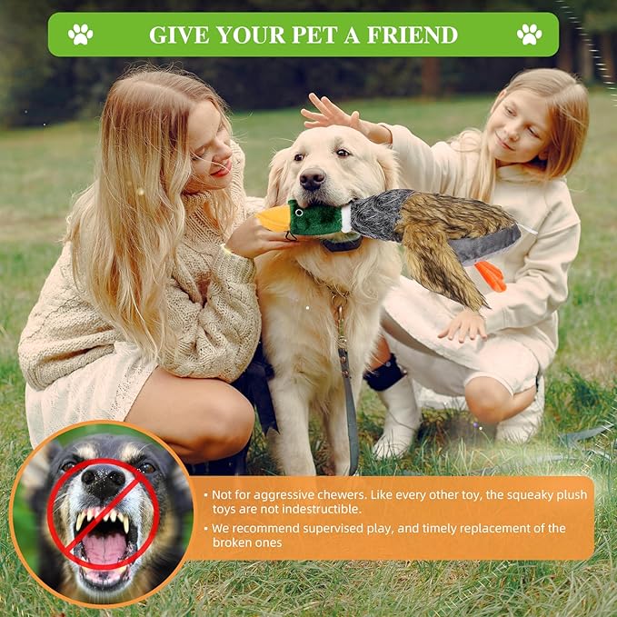wangstar Squeaky Dog Toy for Puppy Dogs Toys to Keep Them Busy Mallard Duck Stuffed Dog Toys for Medium Small Dogs, 9" x2 Wild Duck