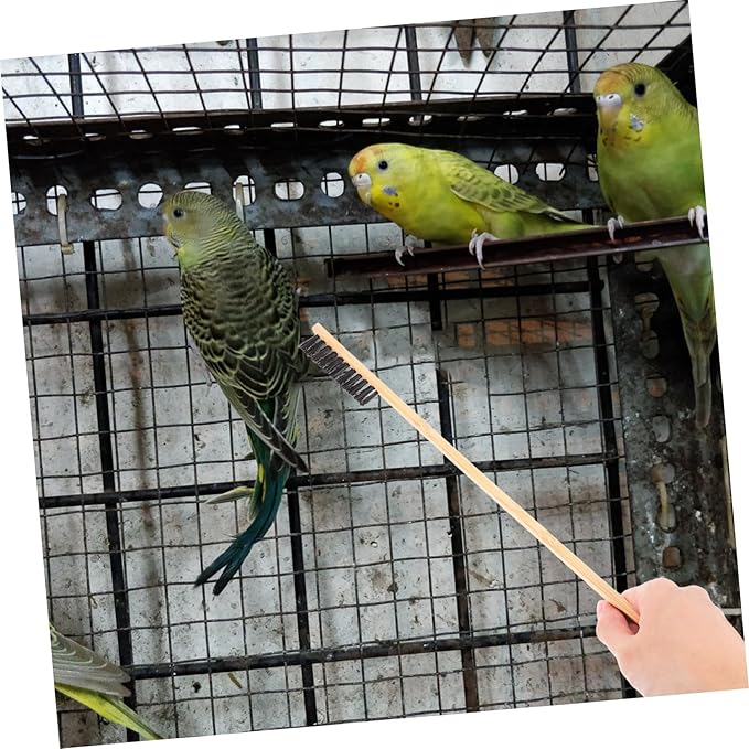 2pcs Birdcage Cleaning Brush Set for Parrot Cage Accessories Small Bird Feeder Cleaner Chicken Grooming Supplies