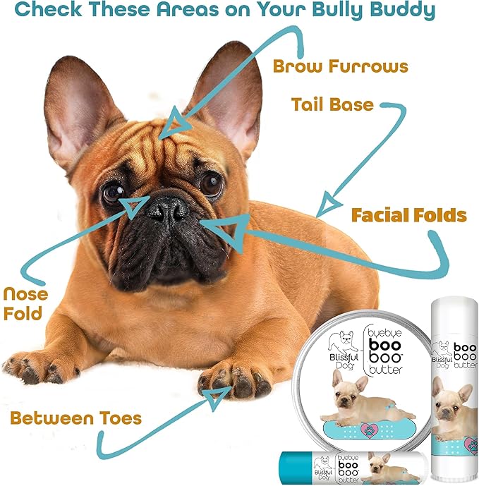 The Blissful Dog All French Bulldog Boo Boo Butter, 16 oz