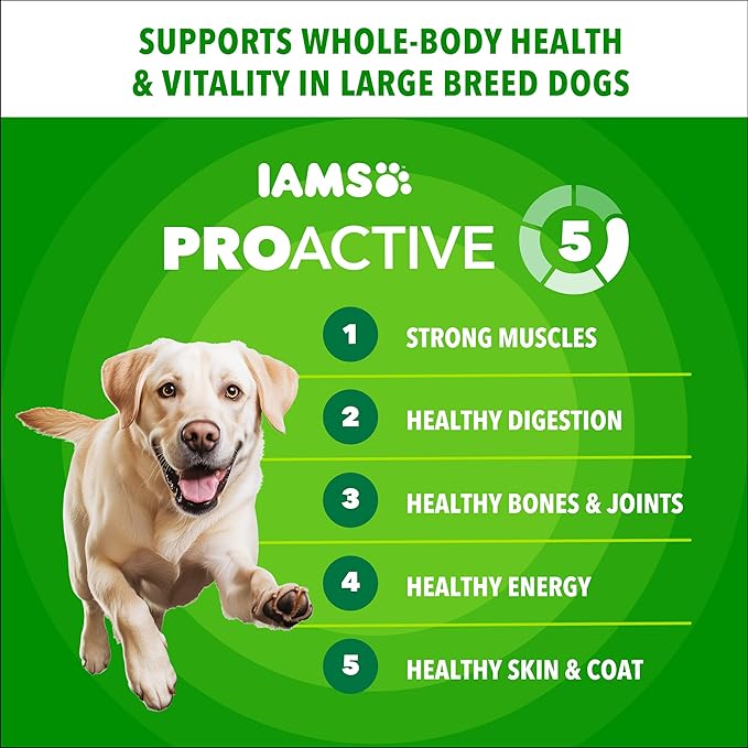 IAMS Proactive Health Large Breed Adult Dry Dog Food with Real Chicken, 38.5 lb. Bag