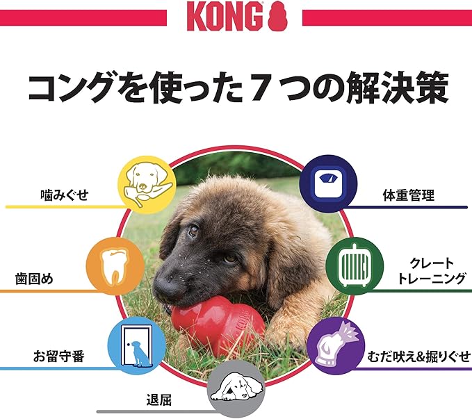 kongu (Kong) kongu Medium