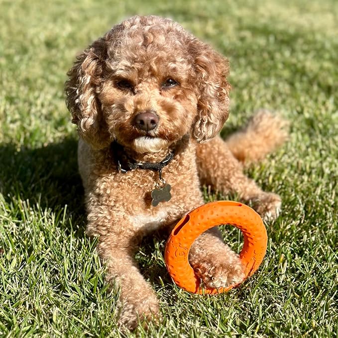 Tall Tails G.O.A.T. Greatest of All Toys Sport Fetch Ring Toy for Dogs, Medium