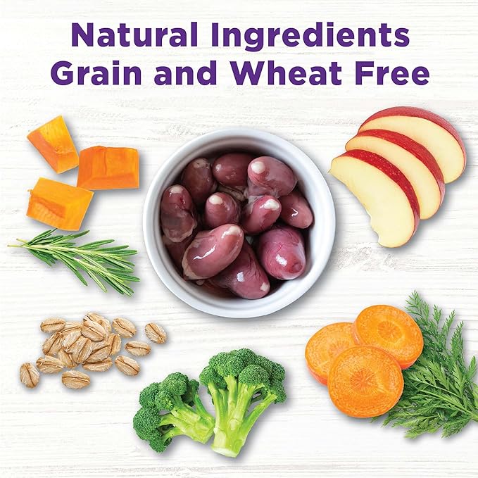 Wellness Bowl Boosters Digestive Health Dog Food Topper with Freeze Dried Pieces for Small, Medium, and Large Breeds, Sensitive Stomach, Grain Free, Natural, Chicken Recipe, 4 oz Bag