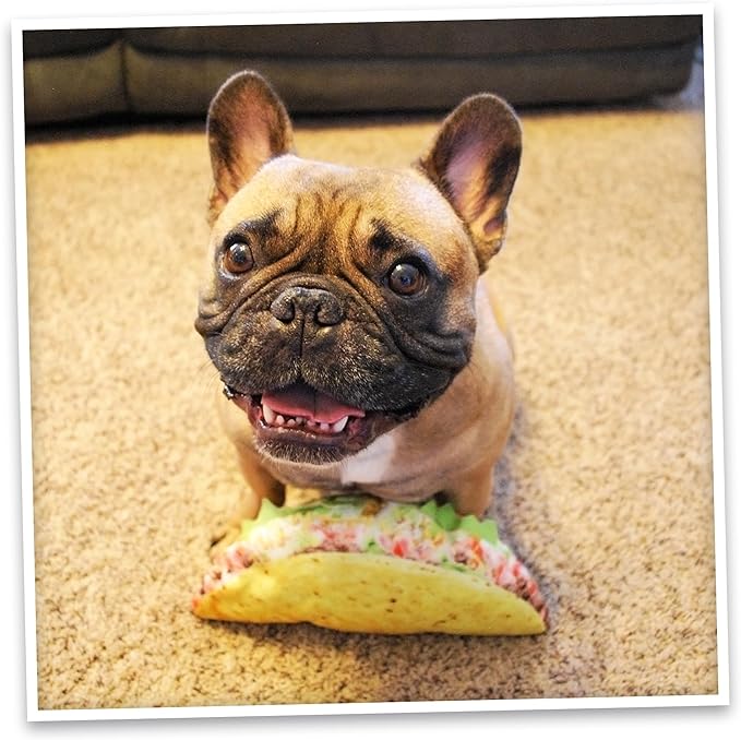 Doggijuana Refillable Juananip Toy Bundle | Taco Bundle | Funny Dog Toy Plush with Catnip and Refill | Calming Aid for Dogs | Interactive Chew Toy for Play
