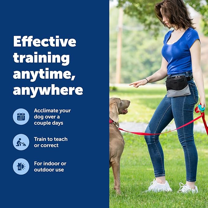 PetSafe Clik-R Training Tool for Pets - Includes Comfortable Finger Strap - Easy to Hold - Train Your Dog to Reward Good Behavior