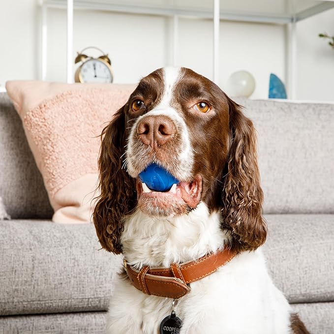 ZoomieBall Interactive Dog Ball Toy - Automatic Rolling & Bouncing, 3 Speed Modes, LED Lights, USB-C Rechargeable, Motion Activated Pet Toy (Blue)
