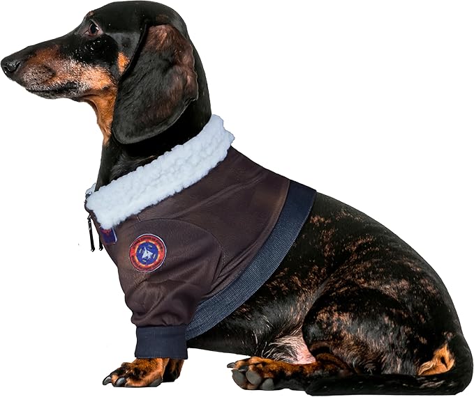 Top Gun: Maverick Pet Costume for For Dogs or Cats by Rubies, Medium