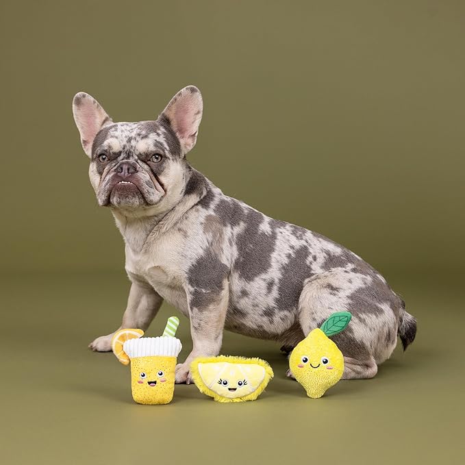 Fringe Studio Plush Dog Toy, 3 Pieces Set, Sour You Doing?, Pet Shop Collection (662169)