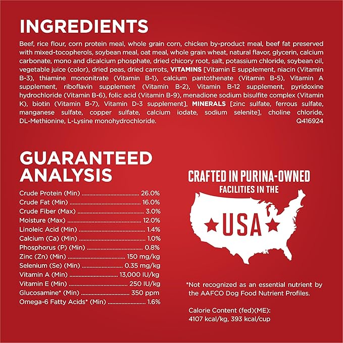 Purina ONE Small Bites Beef and Rice Formula Small High Protein Dry Dog Food Natural With Added Vitamins, Minerals and Nutrients - 31.1 lb. Bag